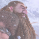 Illustration for article titled Blizzard Announces World of Warcraft Classic